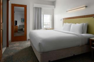 SpringHill Suites by Marriott Charleston Mount Pleasant - Charleston - 2