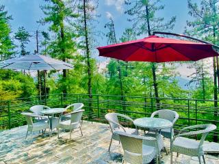 Royal Green Valley Mashobra by Naina Staycation - Mountain and valley view rooms - Shimla - 6