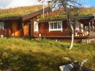 Holiday home Etnedal - Etnedal - 0