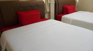 History Hotel - Kangar - 3