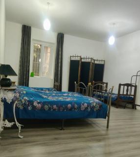 Guest house on Marjanishvili - 0