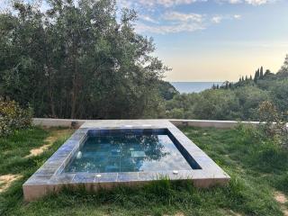 Ipsia Apartments - Paleokastritsa - 9