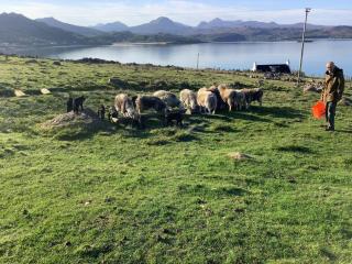 Macrae Croft - 4