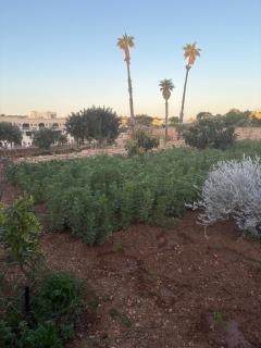 Luxury 3 Bed Apartment with Large Outdoor Pools and Gardens - Qala - 3