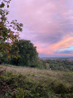La quercia e lo scoiattolo - Sotto il Monte - 1