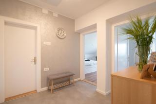 Deer Land Photo Apartment - Kočevska Reka - 4