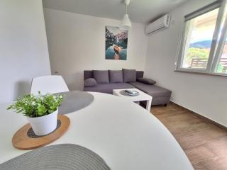 Apartmani Vlasina Sokobanja - Soko Banja - 9