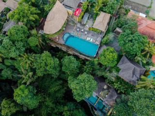 The Sankara Suites and Villas - 9