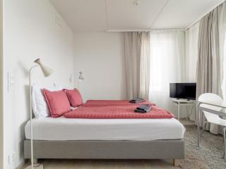 Spacious Studio Apt Next to the Verkatehdas - Hämeenlinna - 1