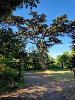Botanical Gardens 2 Bed Flat free parking - 7