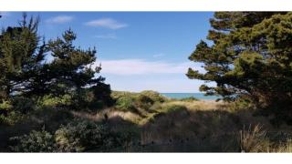 Pacific View by Tiny Away - Leithfield - 7