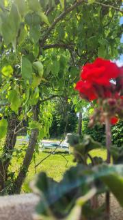 Gite de Lavardin - Saint-Aubin-de-Locquenay - 2