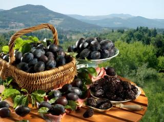 L’élégant, charmant studio hyper centre Gare 800m - 3