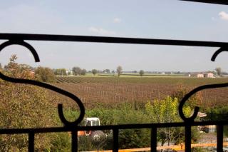 Agriturismo Il Bove - Reggio Emilia - 8