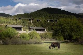 Banyan Tree Ringha - 5