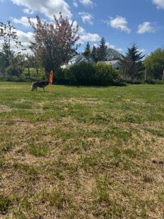 Little lake glamping - Armoy - 8