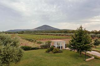 Agriturismo Casale Degli Ulivi Alghero - Santa Maria la Palma - 5