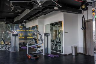 Brand New Luxury Studio - 4