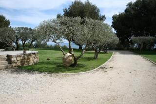 Grand Mas en Provence avec piscine - Istres - 3