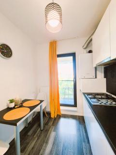 Chique Studio near Mall Plaza - Bucarest - 2