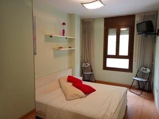 Apartamentos Biescas 3000 - Biescas - 1