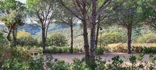 La Madrague - Les Issambres - 1