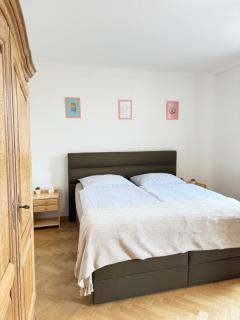 FamilyVilla, new 4 Luxury Big Apartments, parking - Praga - 8