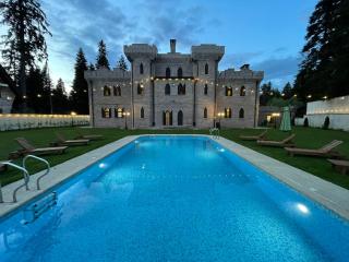 The Castle - Your unique way of retreat - Borovets - 1