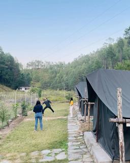 Lakhudiyar Campsite & Restaurant - 3