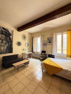 Le Nid du Sud - Arles - 9