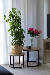Exceptional Studio in Mielno by Noclegi Renters - Mielno - 1