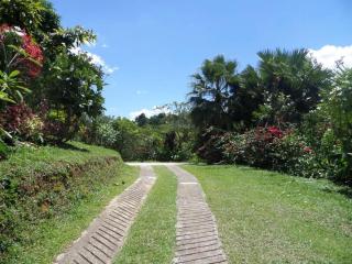 Finca Arcanos Celeste - Barbosa - 6