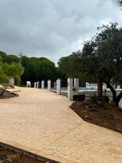 Viña La Serreta - Jaén - 1