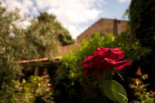 Agriturismo Boccadifuoco - Motta Camastra - 5