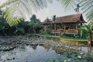 The Fire Flies Garden Villa - Penginyahan - 6