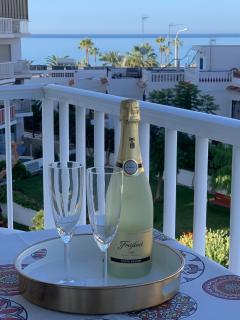 AP338 - Gaviota Moell - 0