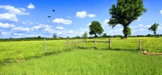 La Luna - Tiny House Spa - Romantique & Nature - 2