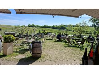 Obst- und Weingut Ingenhof - Malente - 3