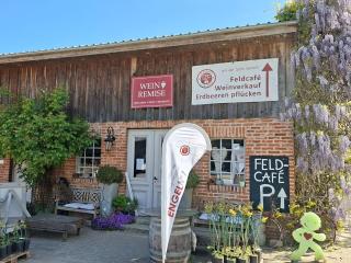 Obst- und Weingut Ingenhof - Malente - 7
