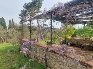 Casa Ezio Marchi - Due appartamenti e una Family Suite - Bettolle - 3