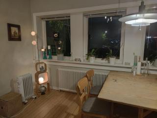 Cozy apartment with amazing view and location - Oslo - 7