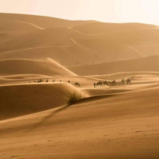 Desert Campo - Oulad Akkou - 9
