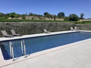 Petit gîte et Grande piscine - Blauvac - 9