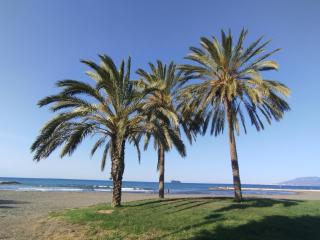 Apartamento Alhóndiga El Palo - Málaga - 7