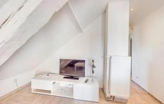 Charmant appartement avec jardin à Schiltigheim, 30 m² - Schiltigheim - 8