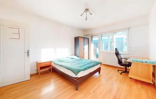 Appartement spacieux à Schiltigheim avec jardin - Schiltigheim - 4