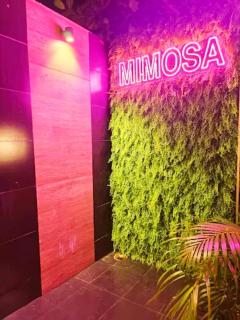 Mimosa Villa - - 7