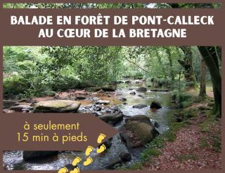Charmant T2 Plouay - Plouay - 6