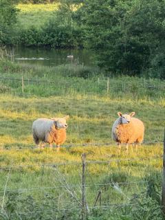 Lakeside Lodge - Eastleigh - 9