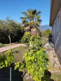 VILLA climatisée tout confort Proche mer et montagne 3 chbres - - 6